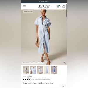 J. Crew Wren Lace Trim Shirtdress in Stripe